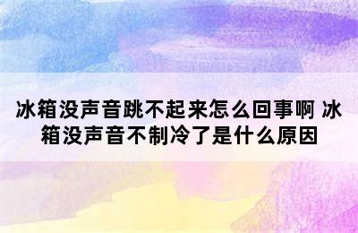 冰箱没声音跳不起来怎么回事啊 冰箱没声音不制冷了是什么原因